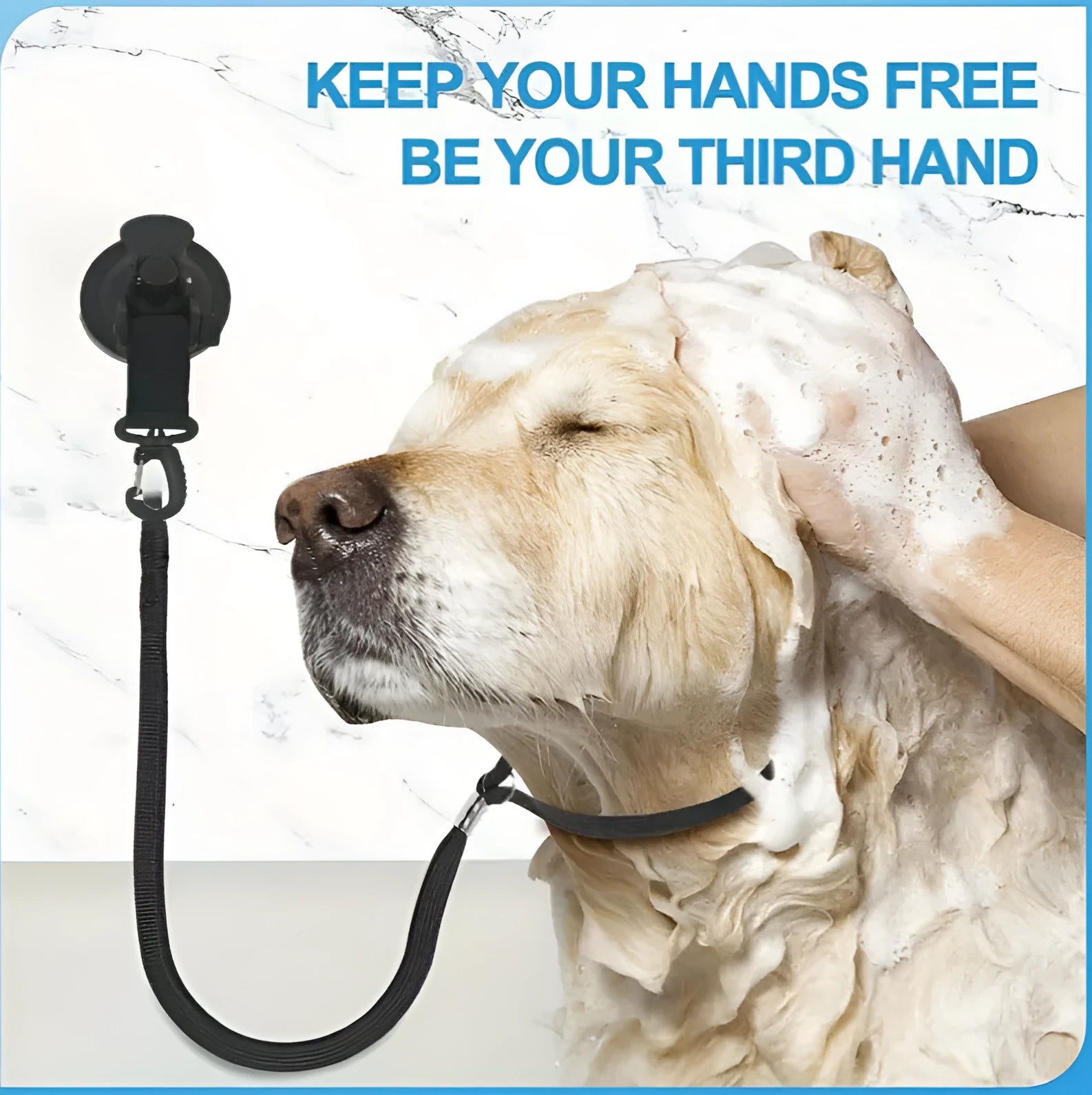 Pet bathing restraint with adjustable rope, handcuffs, and suction cups in black or blue colours