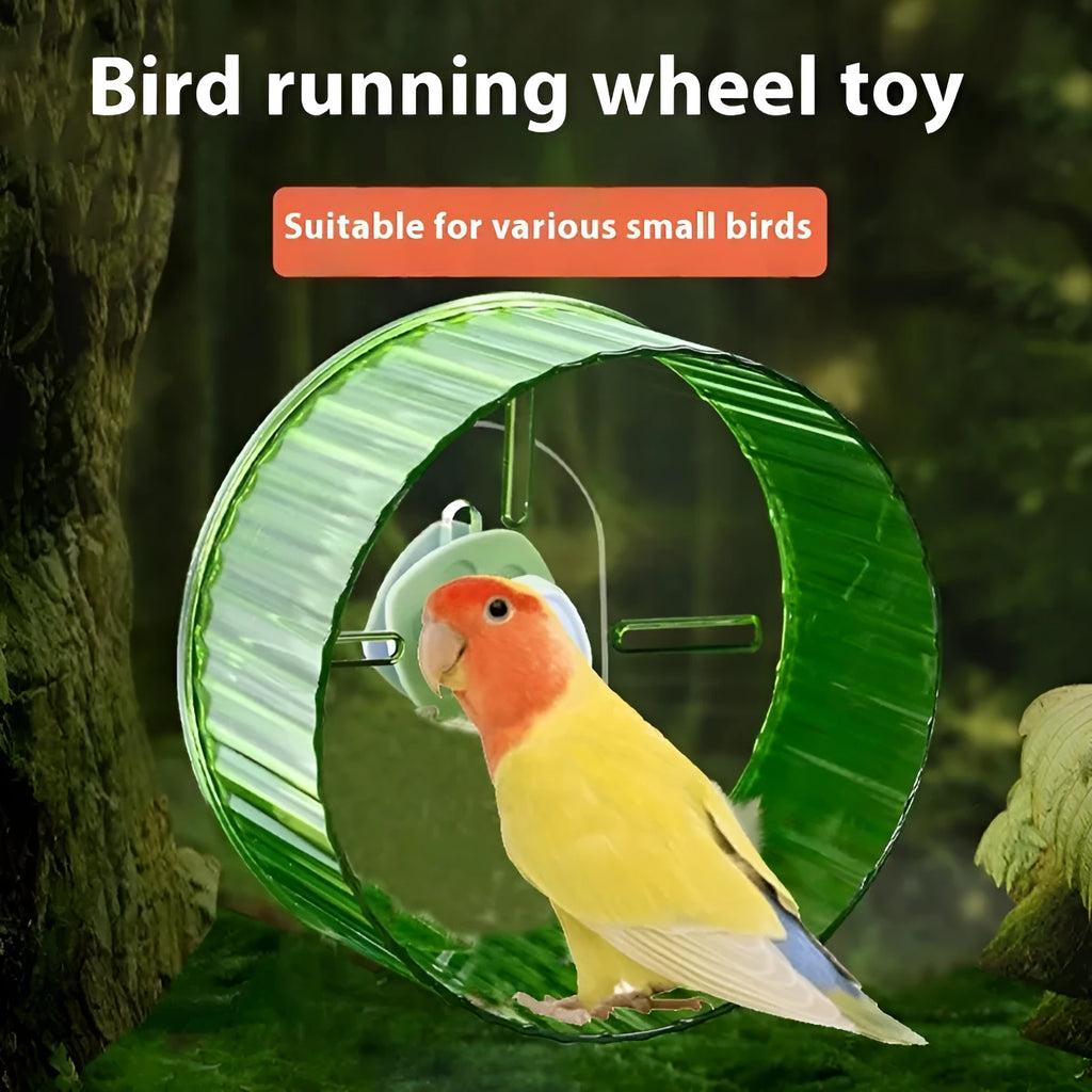 Plastic parrot running wheel exercise toy in transparent colour with 21cm diameter