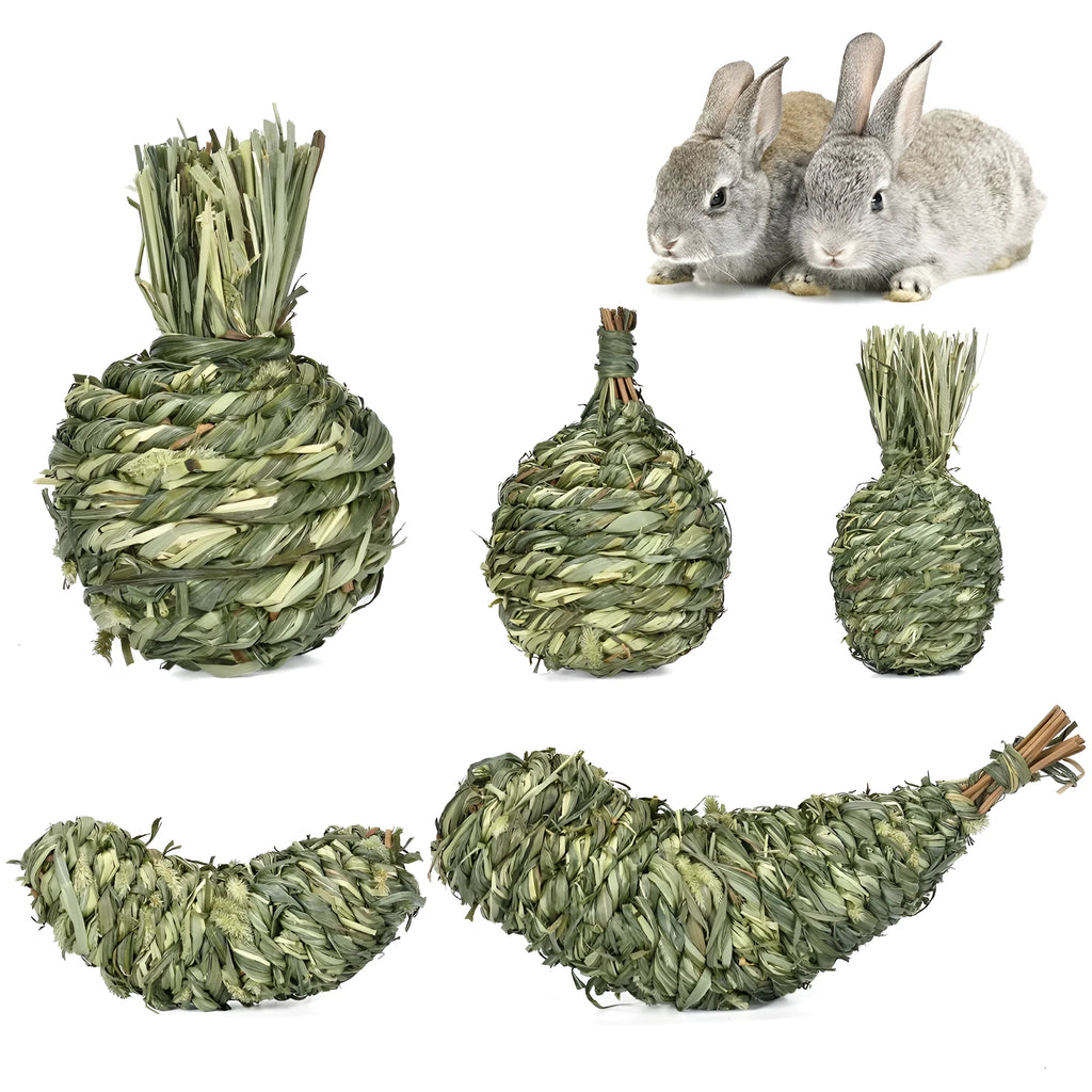 Timothy grass pet chew toy shaped like an apple for rabbits and guinea pigs