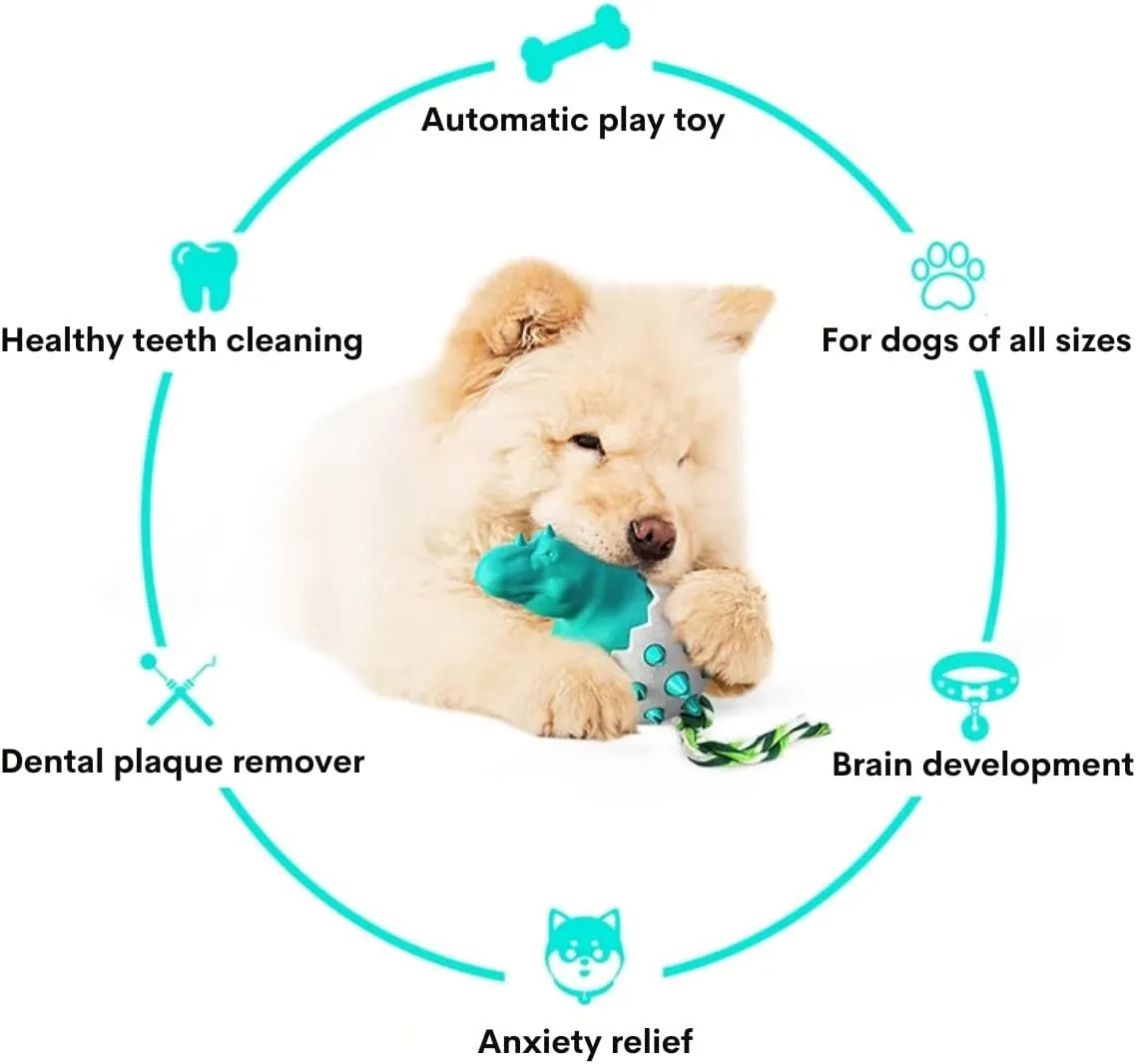 Blue dinosaur-shaped dog chew toy with rubber nubs and a rope tail for aggressive chewers.