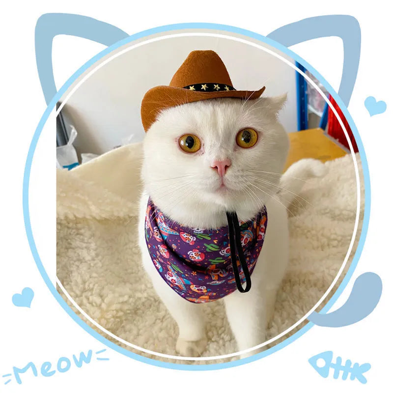 British cowboy hat for cats and small dogs in non woven fabric with velvet belt trim