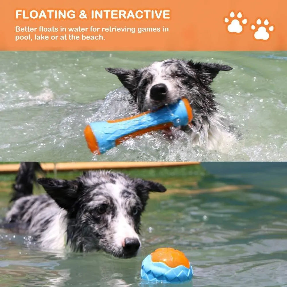 Set of four colourful floating dog toys: a ball, a barbell, and two tyres on a blue background.