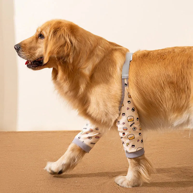 Dog wearing blue knee protector with thick elbow padding and matching scarf