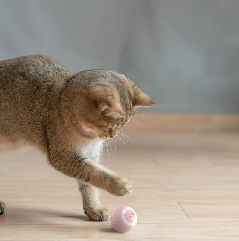 Blue automatic moving cat toy ball with rechargeable battery for indoor feline play