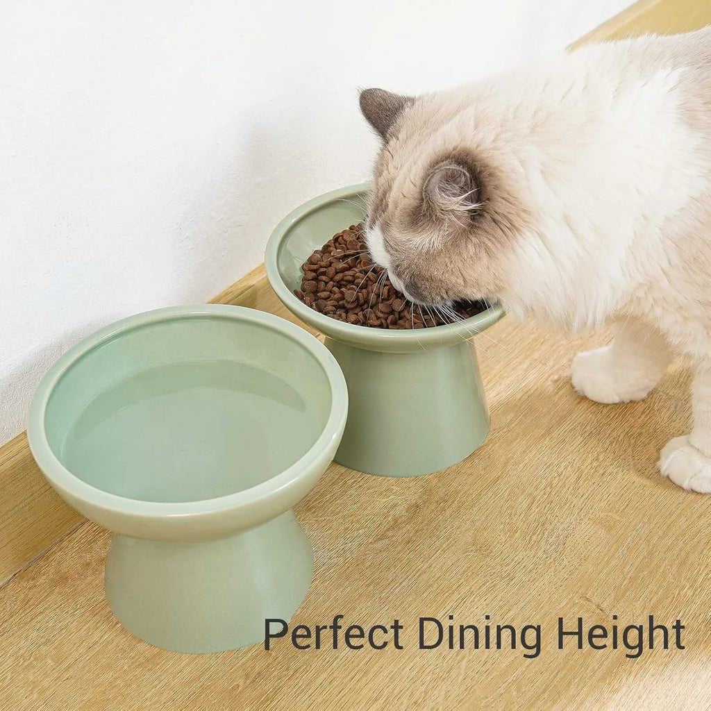 Ceramic elevated cat food bowl in blue, showing wide shallow dish on raised base.