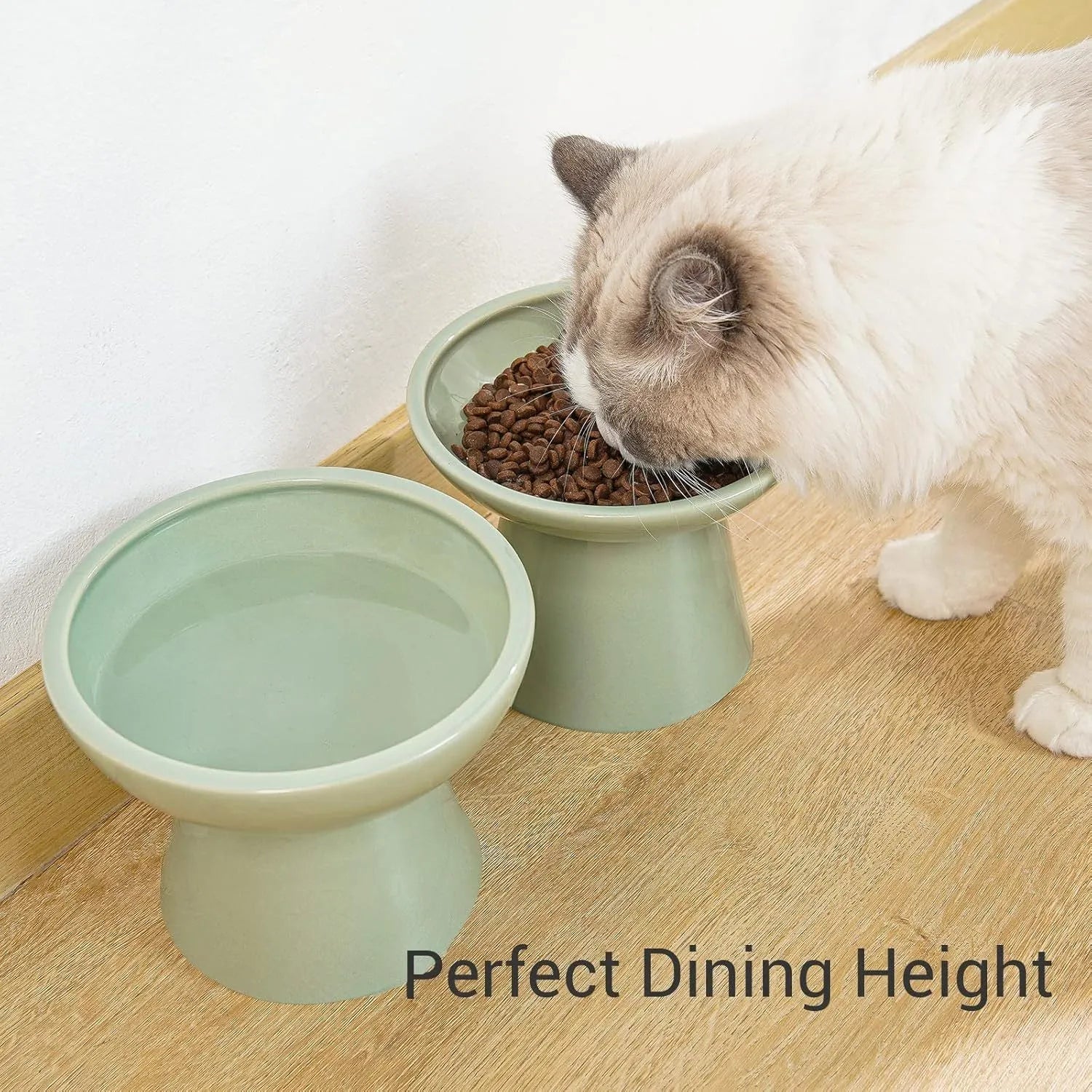 Ceramic elevated cat food bowl in blue, showing wide shallow dish on raised base.
