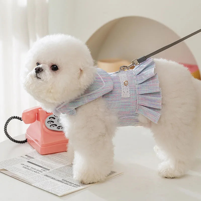 Purple hooded knitted sweater on a small dog, showing long sleeves and size label.