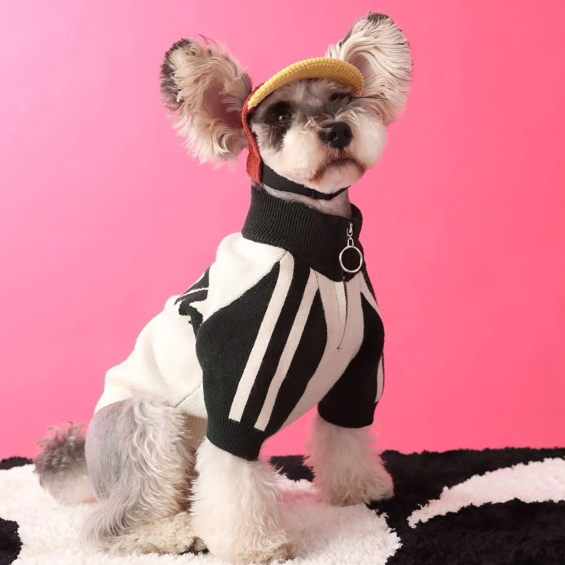 Wool dog sweater cardigan in dark green, available in multiple sizes for casual pet wear