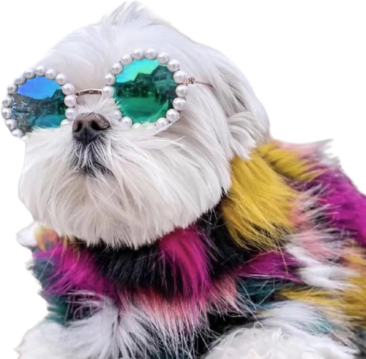 Cat and dog pearl-rimmed round sunglasses in multiple colours for pet party dress-up