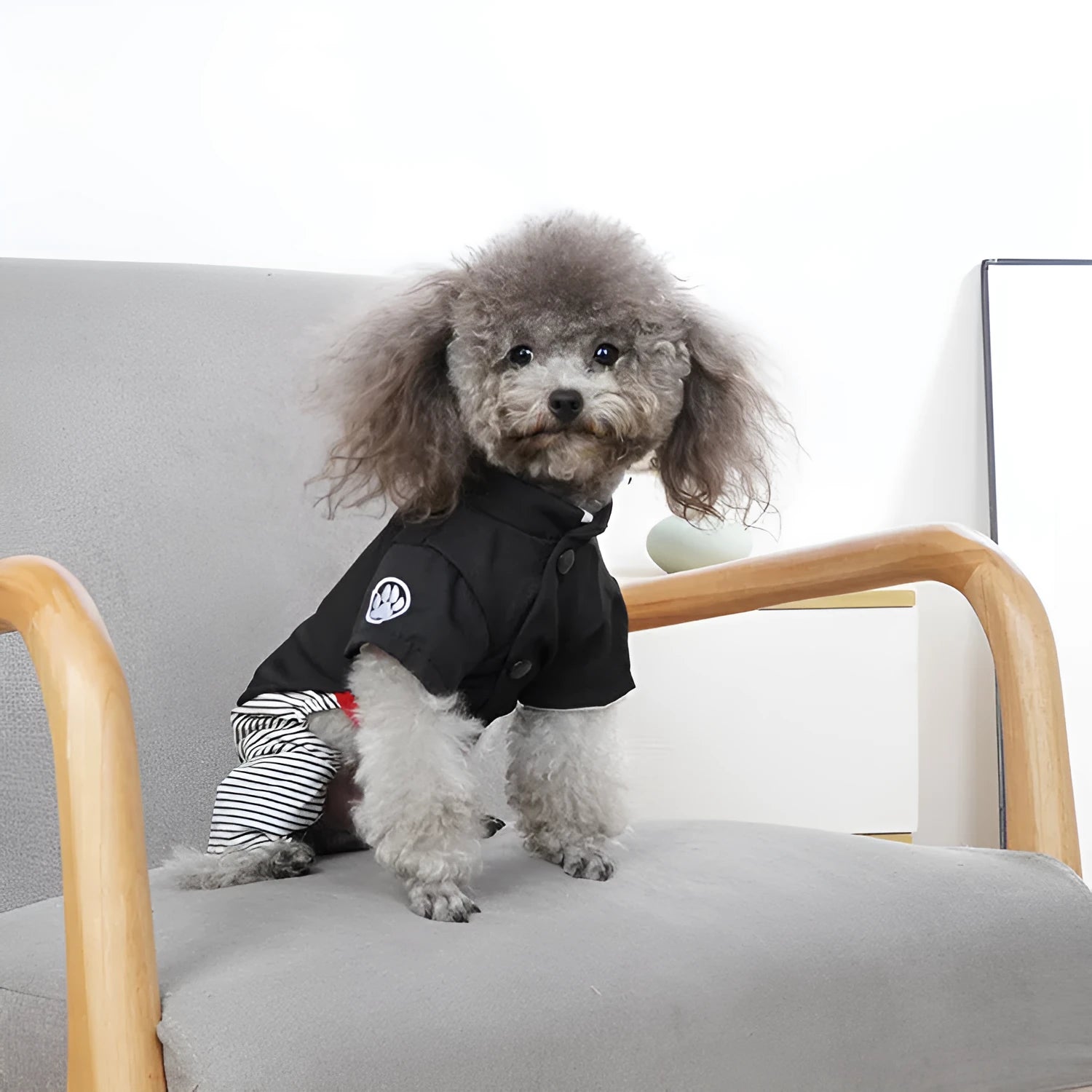 Lightweight cotton poodle clothes available in four sizes with pants or skirt options
