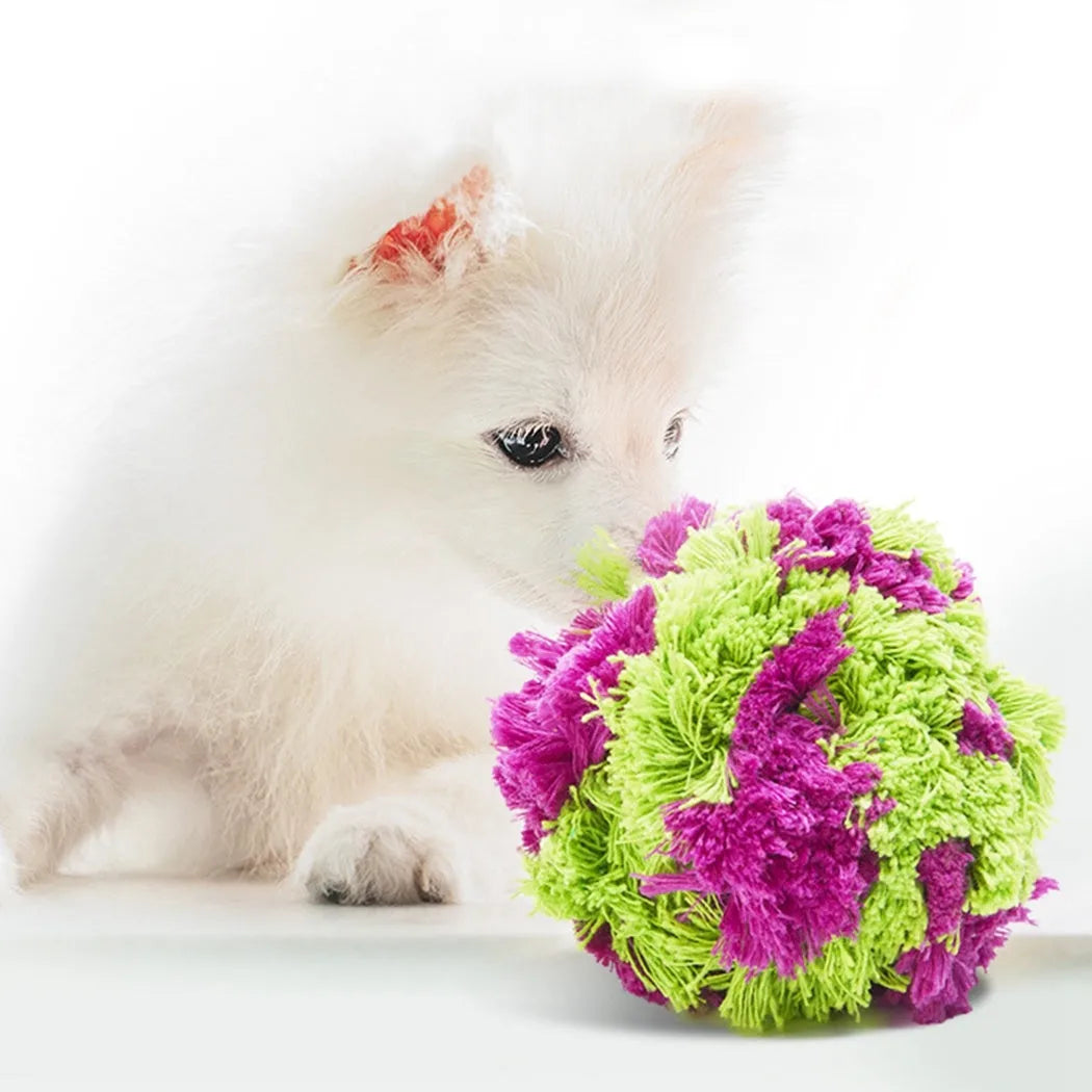 Purple plush dog knots seaweed ball toy with approximately 15cm diameter for chewing and fetch games