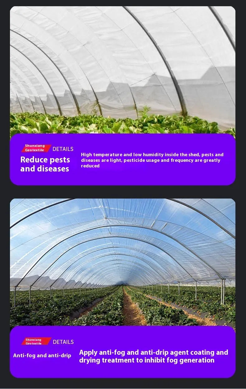 Plastic greenhouse cold proof film for vegetable sheds in 4x8 metre size