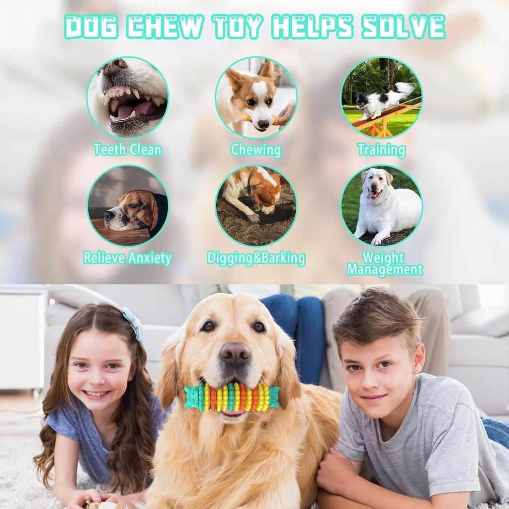 Blue caterpillar-shaped natural rubber dog chew toy for aggressive chewers.