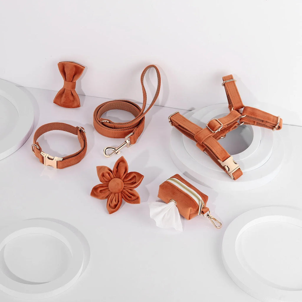 Velvet pet collar and traction rope set with chest strap and decorative bow tie accessories