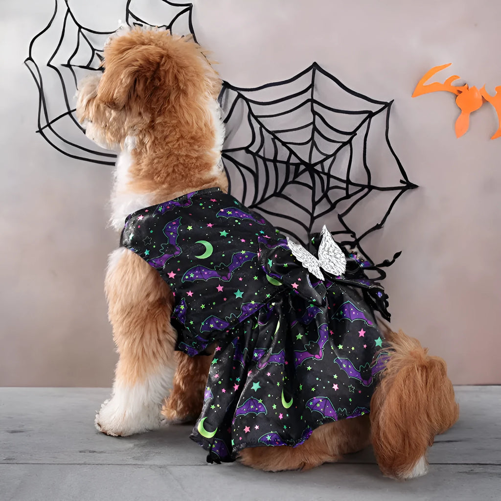 Angel wings Halloween dog costume in bright pumpkin colour with size options