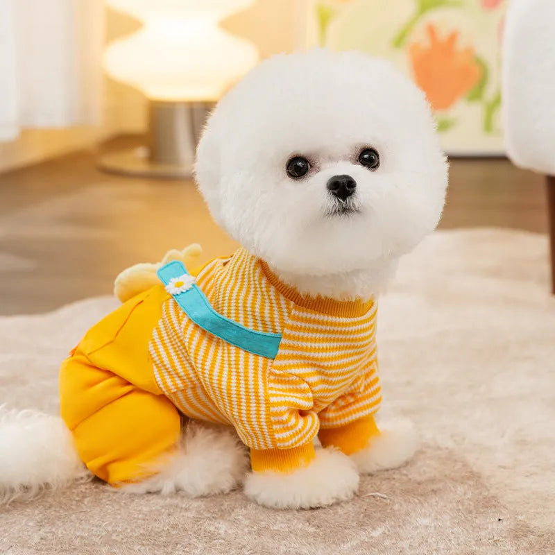 Autumn yellow polyester dog coat with three-dimensional chicken design, front view showing playful motif