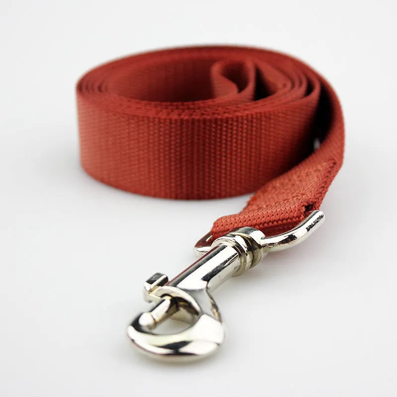 Solid colour polyester dog lead rope shown in blue, with a hand holding the loop and a dog clip at the other end.