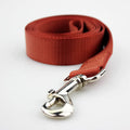 Solid colour polyester dog lead rope shown in blue, with a hand holding the loop and a dog clip at the other end.