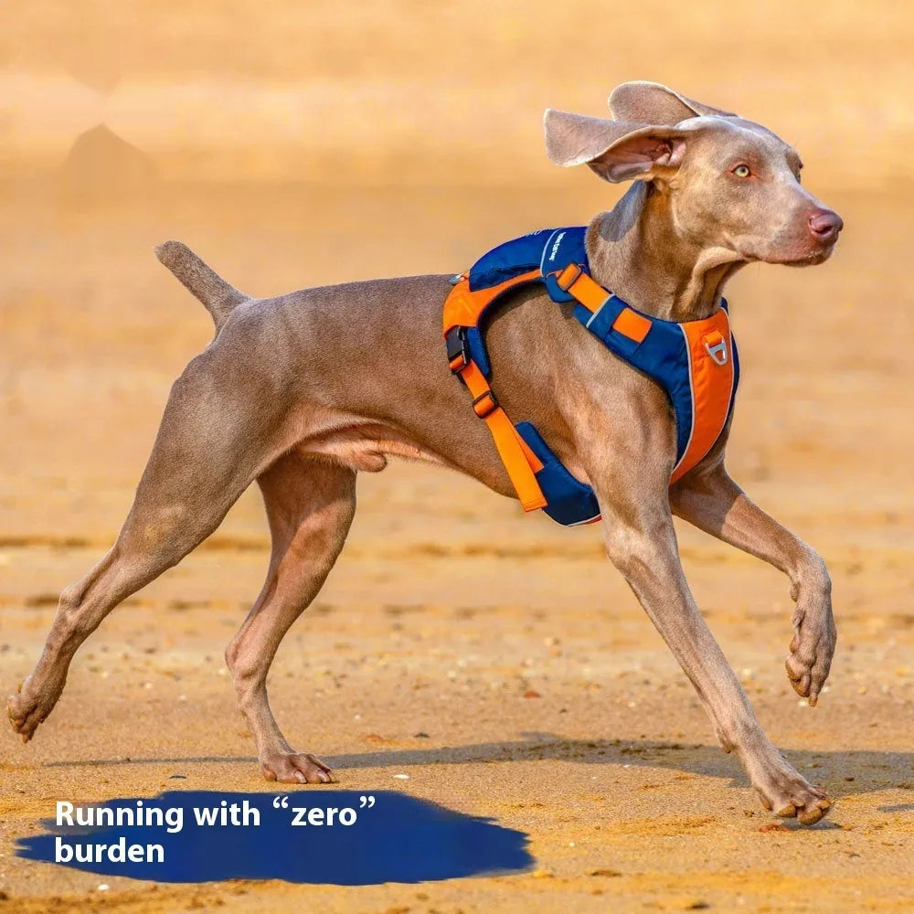 Nylon dog chest strap vest style hand rope in orange and blue with single chest back design