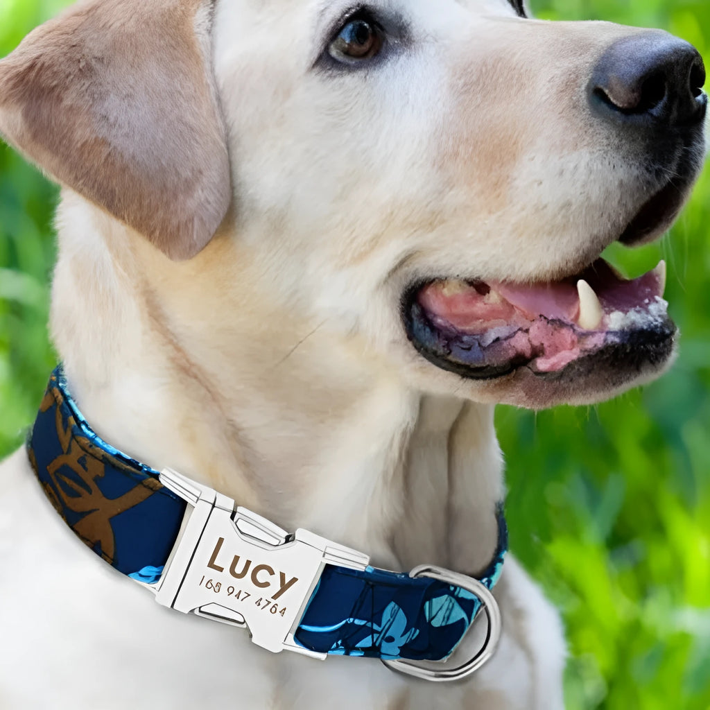 General dog collar in black with buckle closure, suitable for S, M, L dog sizes