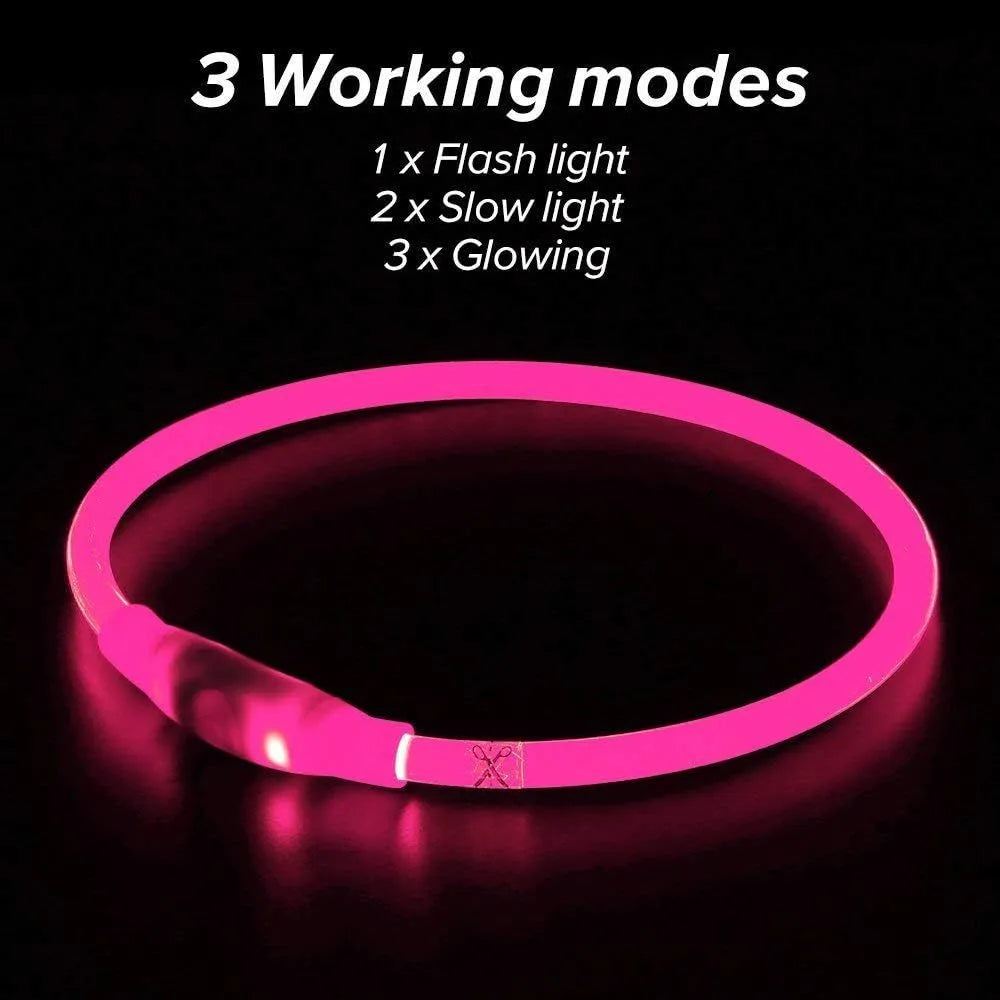Blue LED dog collar glowing around dog's neck with USB charging cable