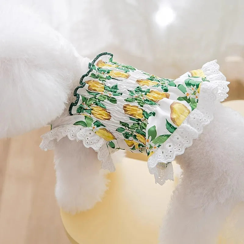 Thin breathable polyester strap dog skirt in Rock Yellow Lemon