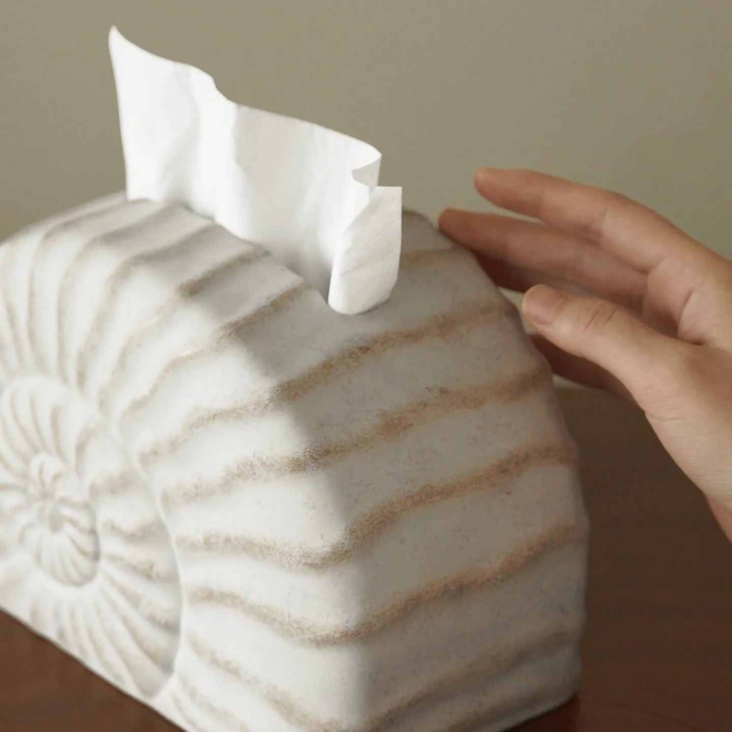 Conch ramble coloured resin tissue box decoration with modern simplicity design