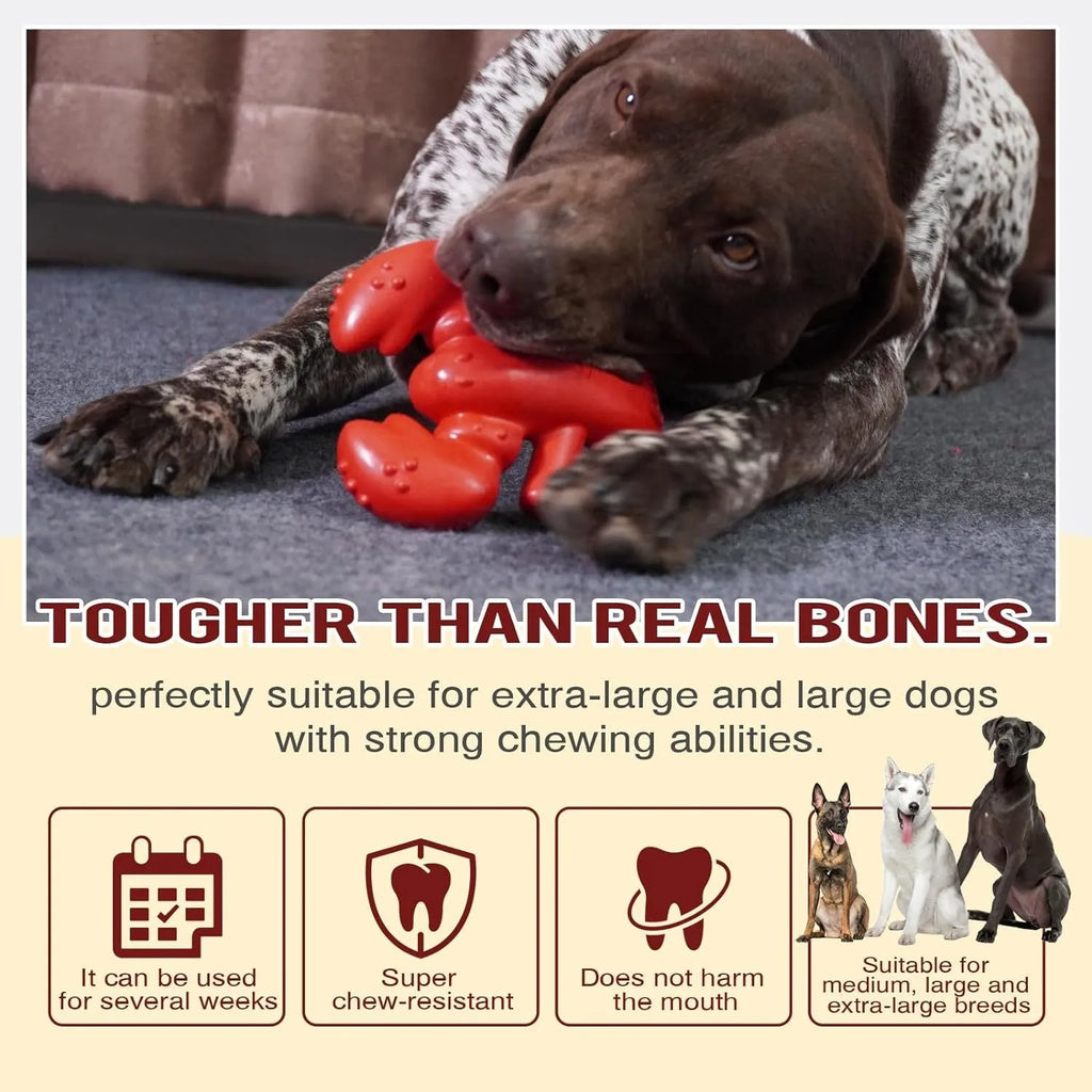 Red hard dog chew toy for aggressive chewers, shown next to a ruler indicating its 170mm length.