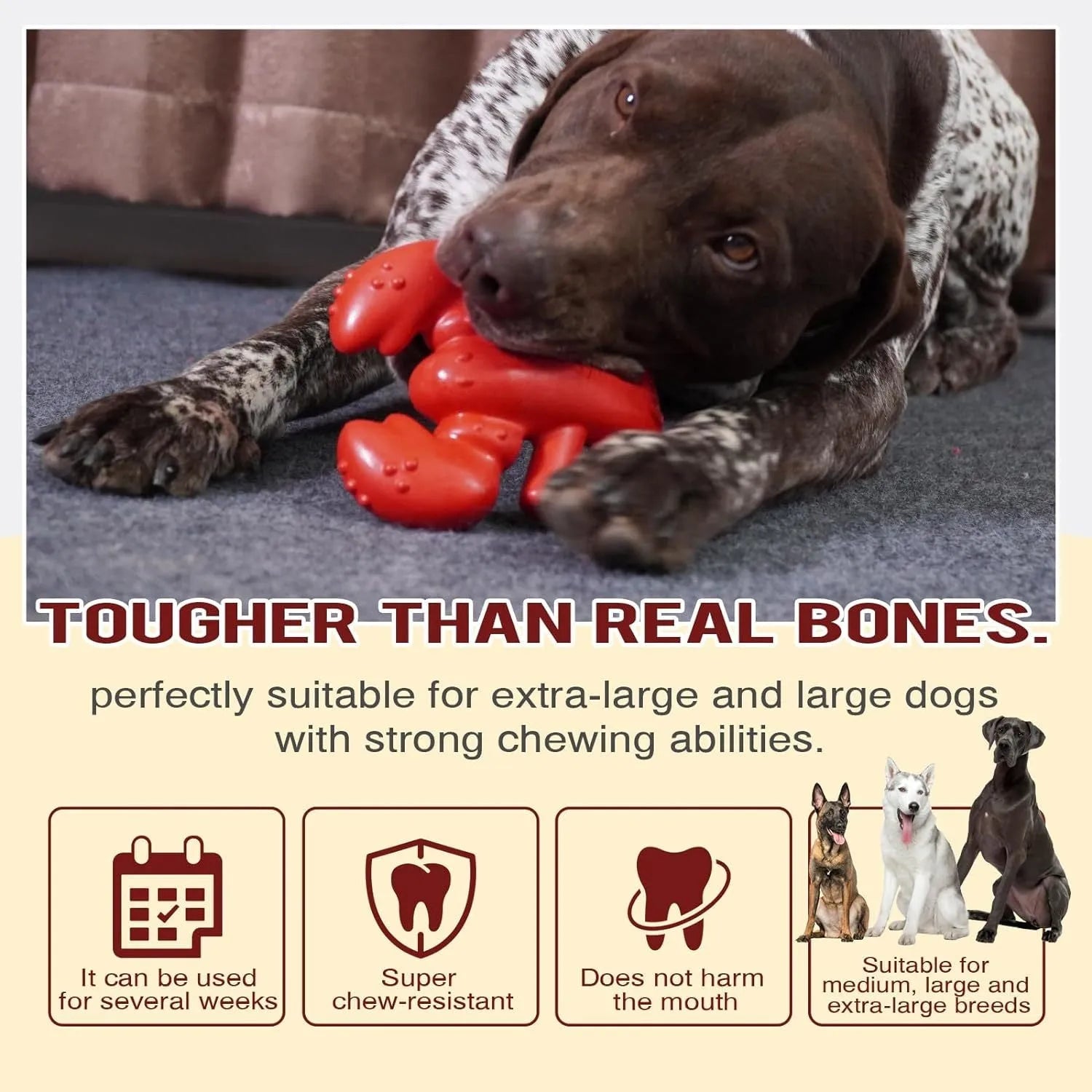 Red hard dog chew toy for aggressive chewers, shown next to a ruler indicating its 170mm length.