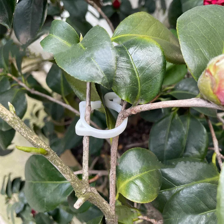 Coloured cat-shaped plastic plant clips for garden vine support