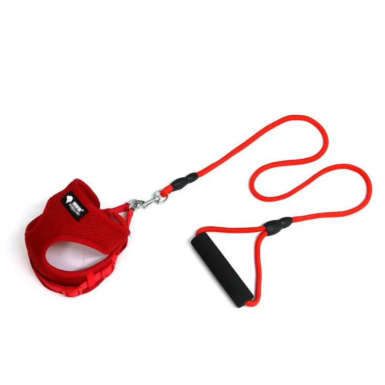 Blue dog leash and collar set with foam handle showing adjustable buckle and round rope design