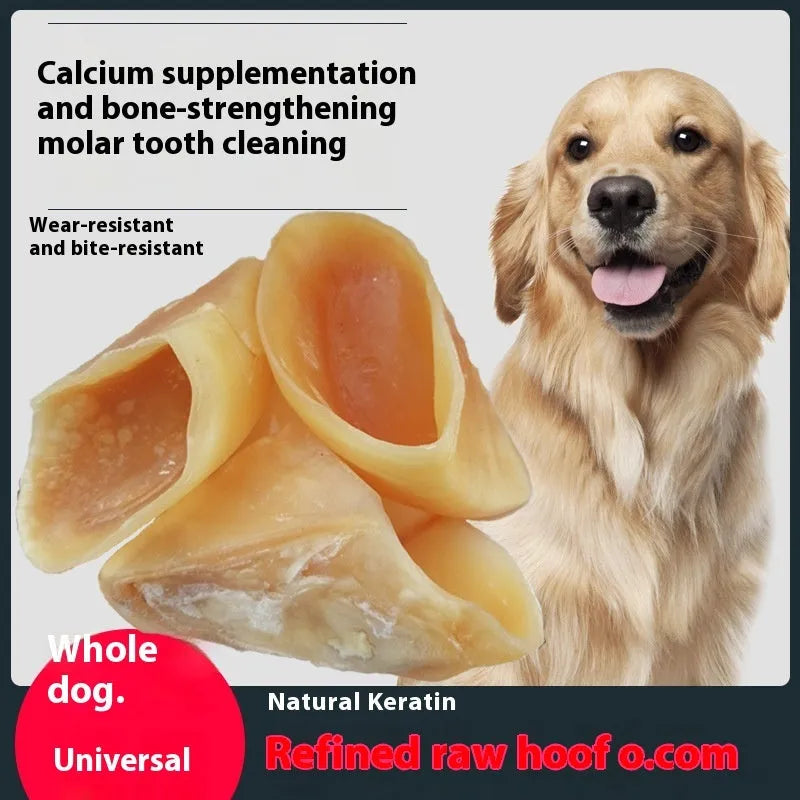 Natural cow hoof shell dog chew made from cowhide for small or large dogs.
