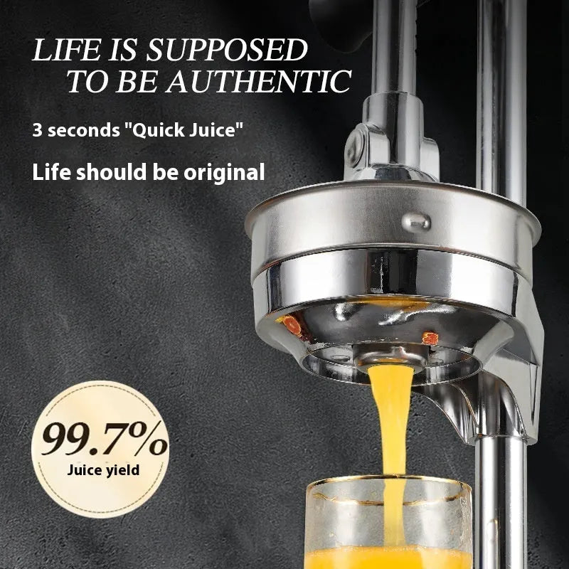 Stainless steel manual vertical juicer with zinc alloy parts and selectable head styles on a kitchen counter.