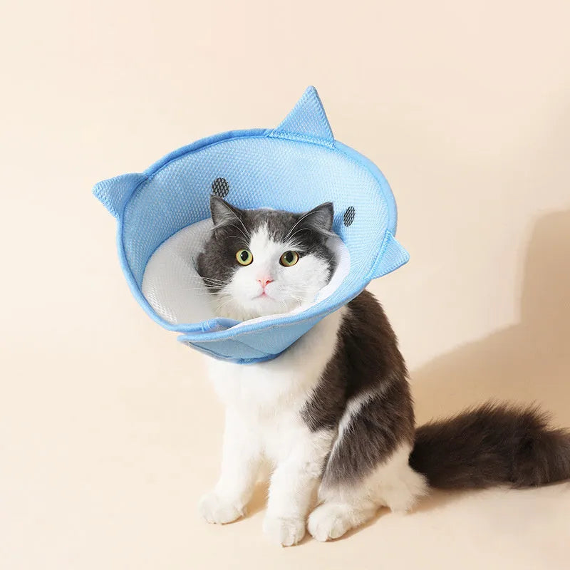 Soft cat recovery collar in shark shape made from nonwoven fabric, available in multiple sizes