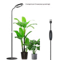 White 6-inch angel ring LED grow light on a retractable silver tripod stand for indoor plants.
