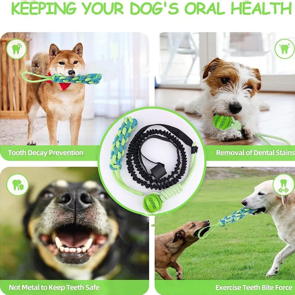 Green cotton dog tug rope toy with corncob and teether ball biting surfaces for indoor outdoor play
