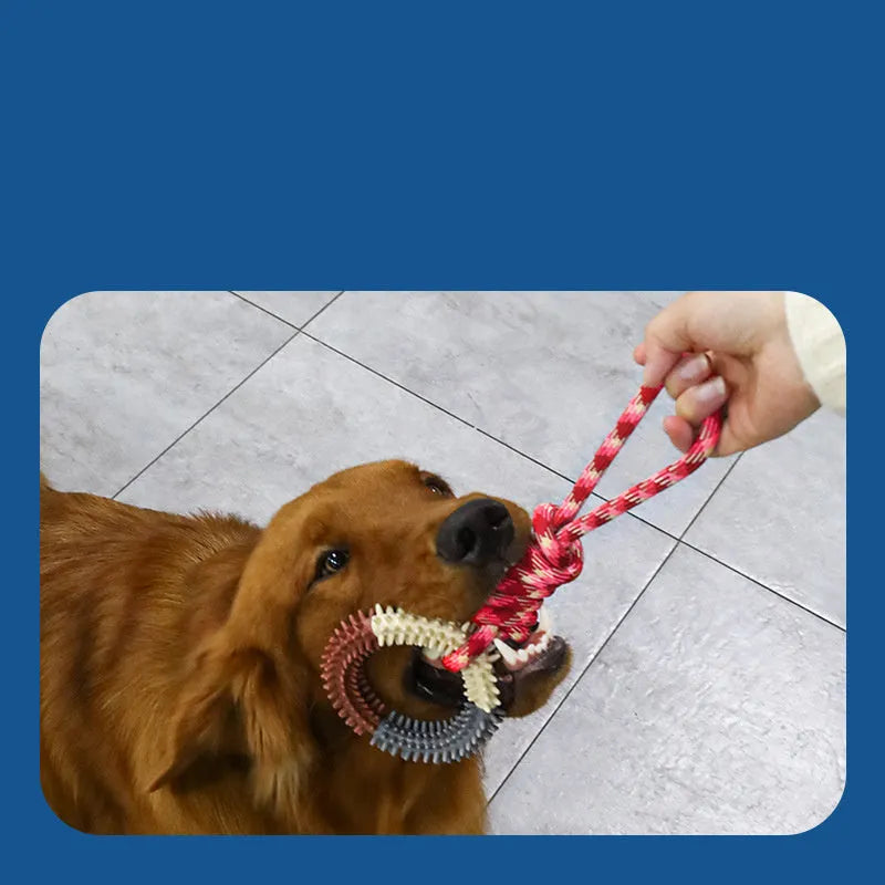 Blue braided rope dog toy with knots, shown next to a red and a rose red version for size comparison.