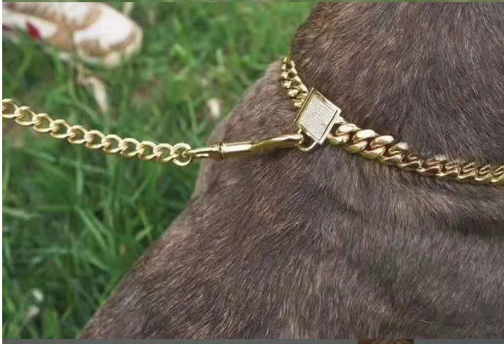 Gold titanium steel pet dog collar with encryption chain buckle lying on surface