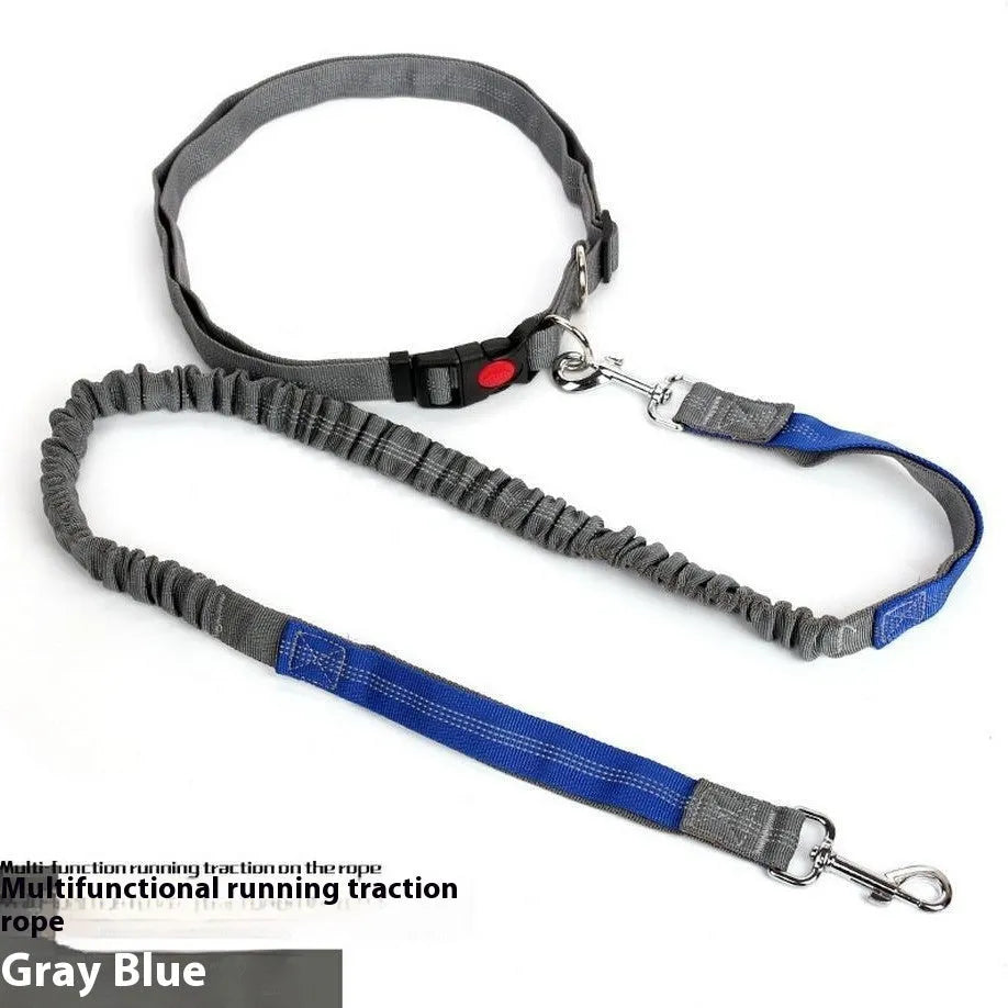 Reflective nylon dog leash with elastic filament sling in grey and green colour combination