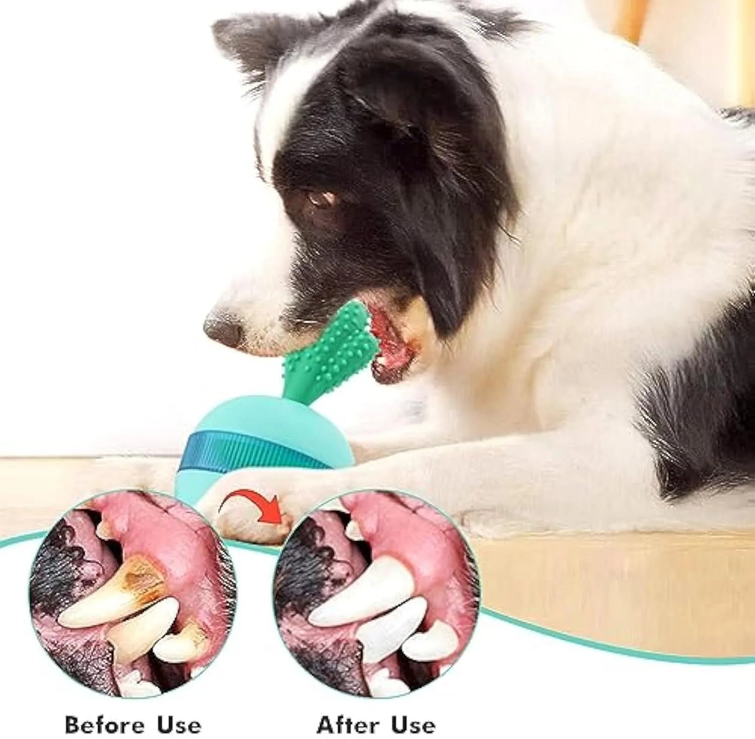 Blue rubber dog toy ball with treat-dispensing holes for medium to large breeds
