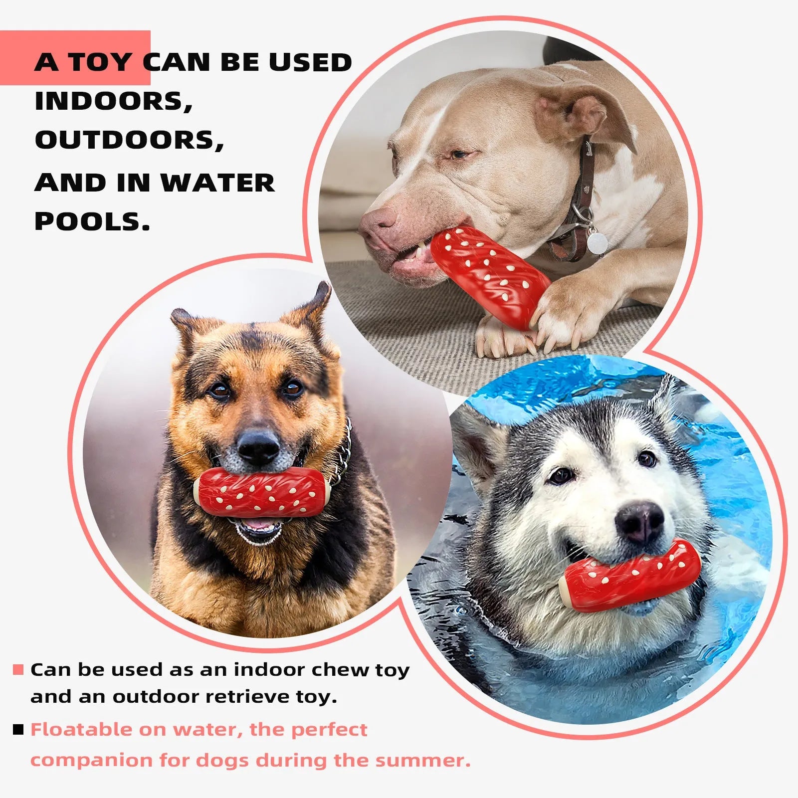 Primary colour plastic dog dental chew toy with molar rod shape and textured cleaning surfaces