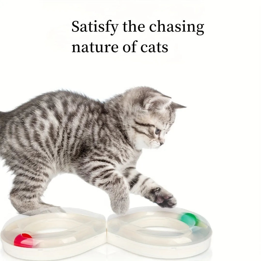Blue and white plastic cat toy turntable track with a ball and a separate teasing stick.