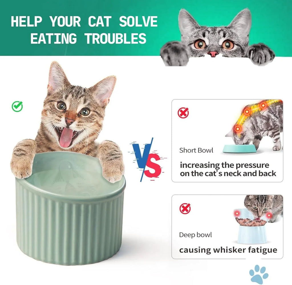 Elevated ceramic cat bowl in green colour showing tilted design and raised height for comfortable feeding