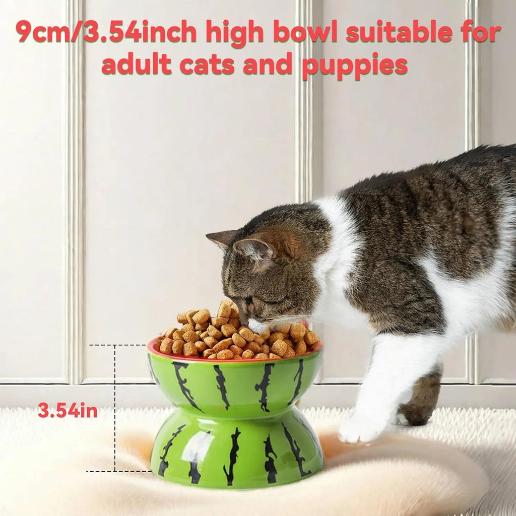 Ceramic raised cat bowl with tilted design in orange, pitaya, or watermelon pattern