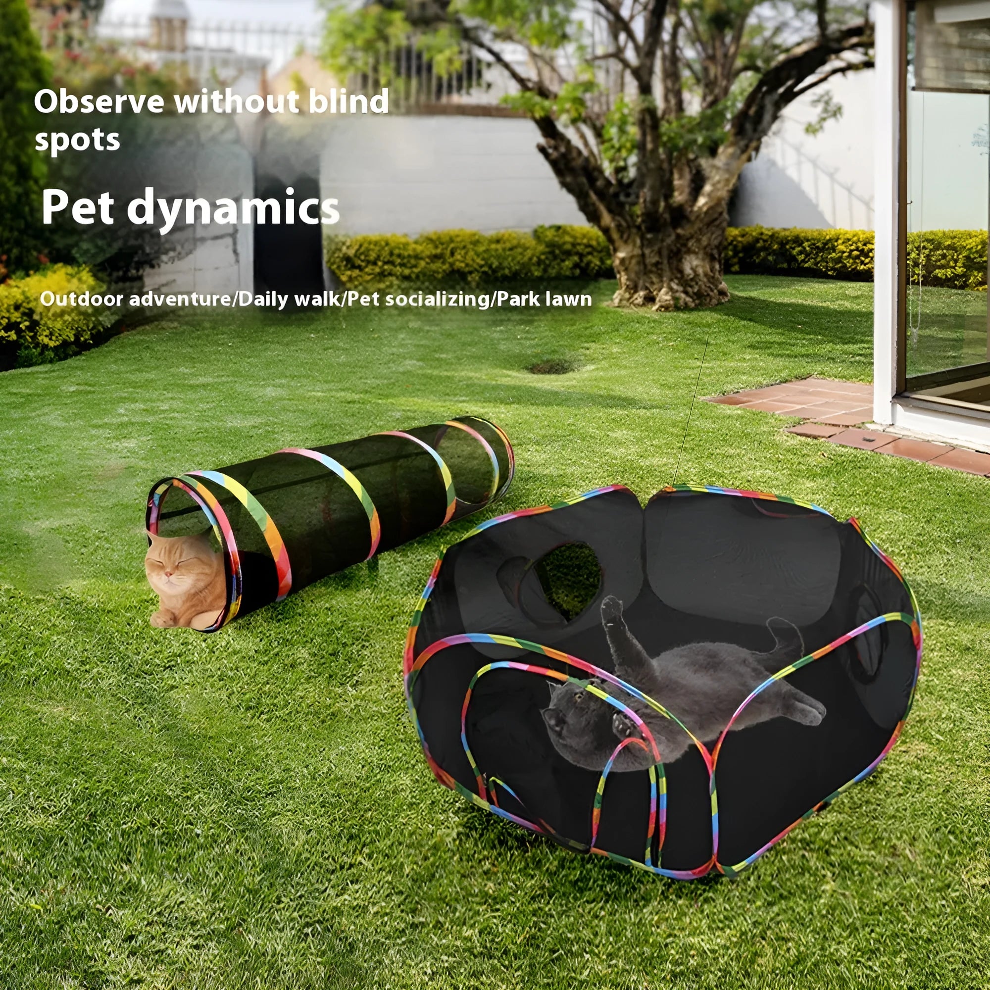 Foldable mesh cat roll cage in hexagonal style, showing breathable fabric and enclosed structure.
