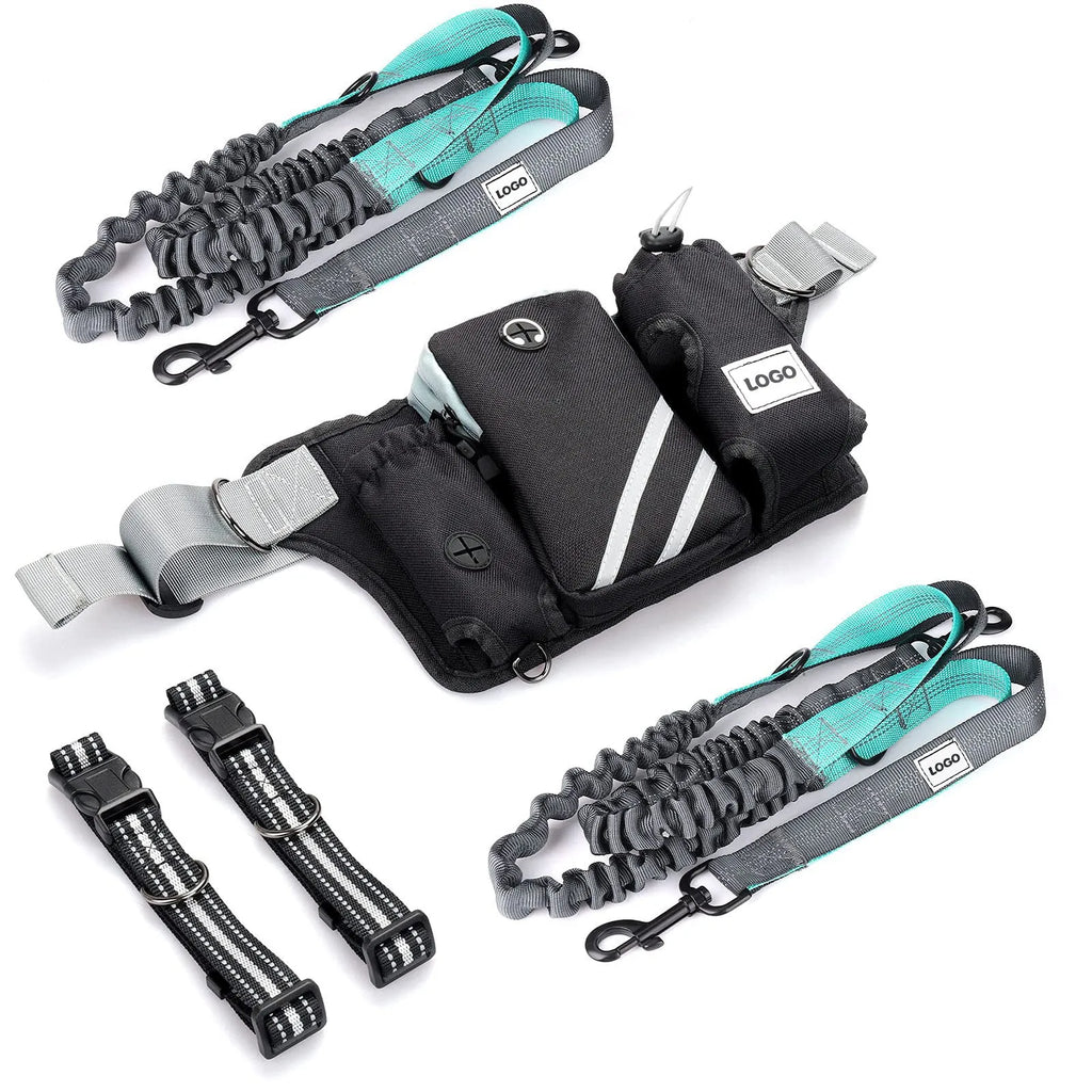 Black nylon outdoor pet training bag set with waist bag and dog walking leash