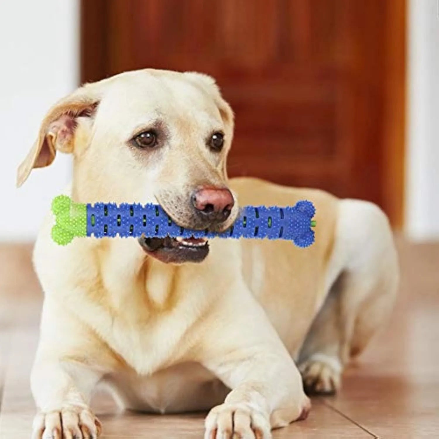 Blue green dog dental cleaning toy with silicone bristles and rope core measuring 25 cm
