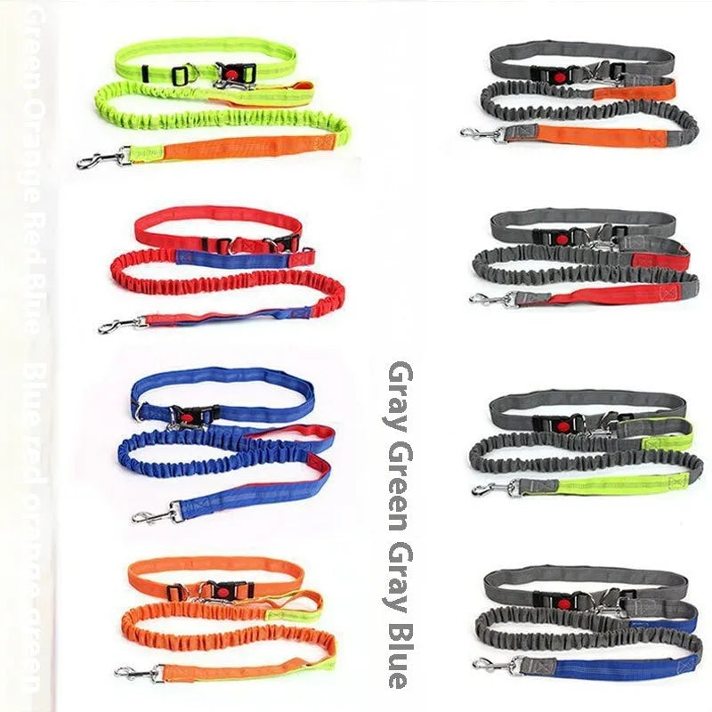 Reflective nylon dog leash with elastic filament sling in grey and green colour combination