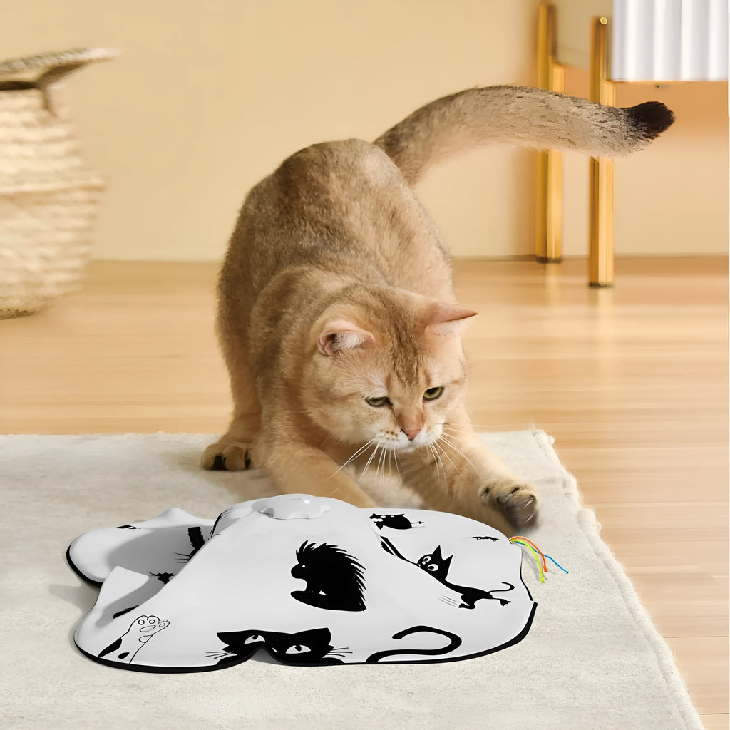 Plastic cat interactive toy with self-hi relief teaser mechanism in picture colour