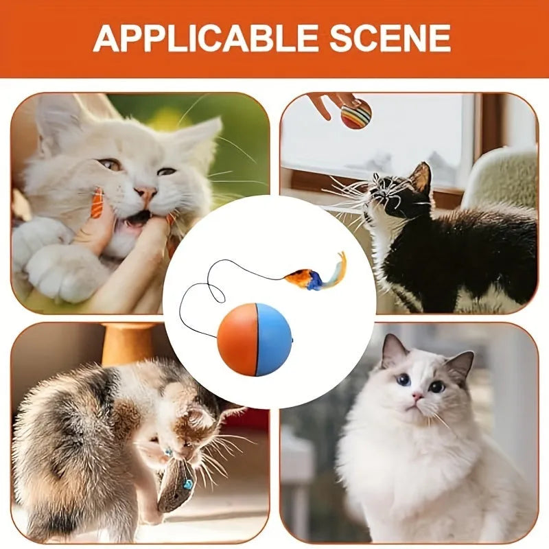 Interactive cat toy ball with blue and orange plush mouse and rolling base on floor